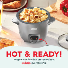 Mini Rice Cooker with Keep Warm